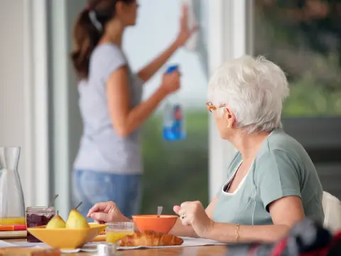 Domestic assistance supporting a safe and comfortable home